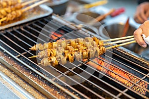 ç‚‰å­ä¸Šçš„çƒ§çƒ¤A barbecue on the stove